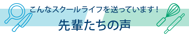 先輩たちの声